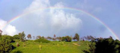Pot o' Gold