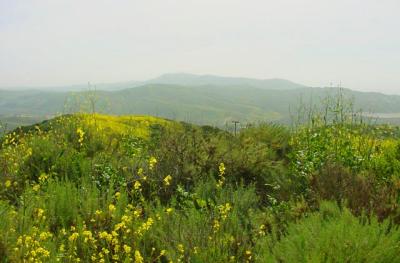 View from the Ridge