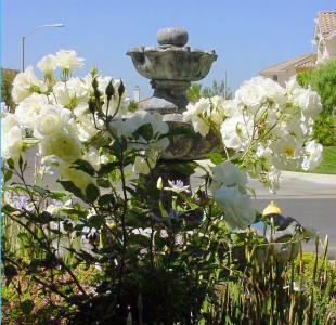 Fountain of Icebergs